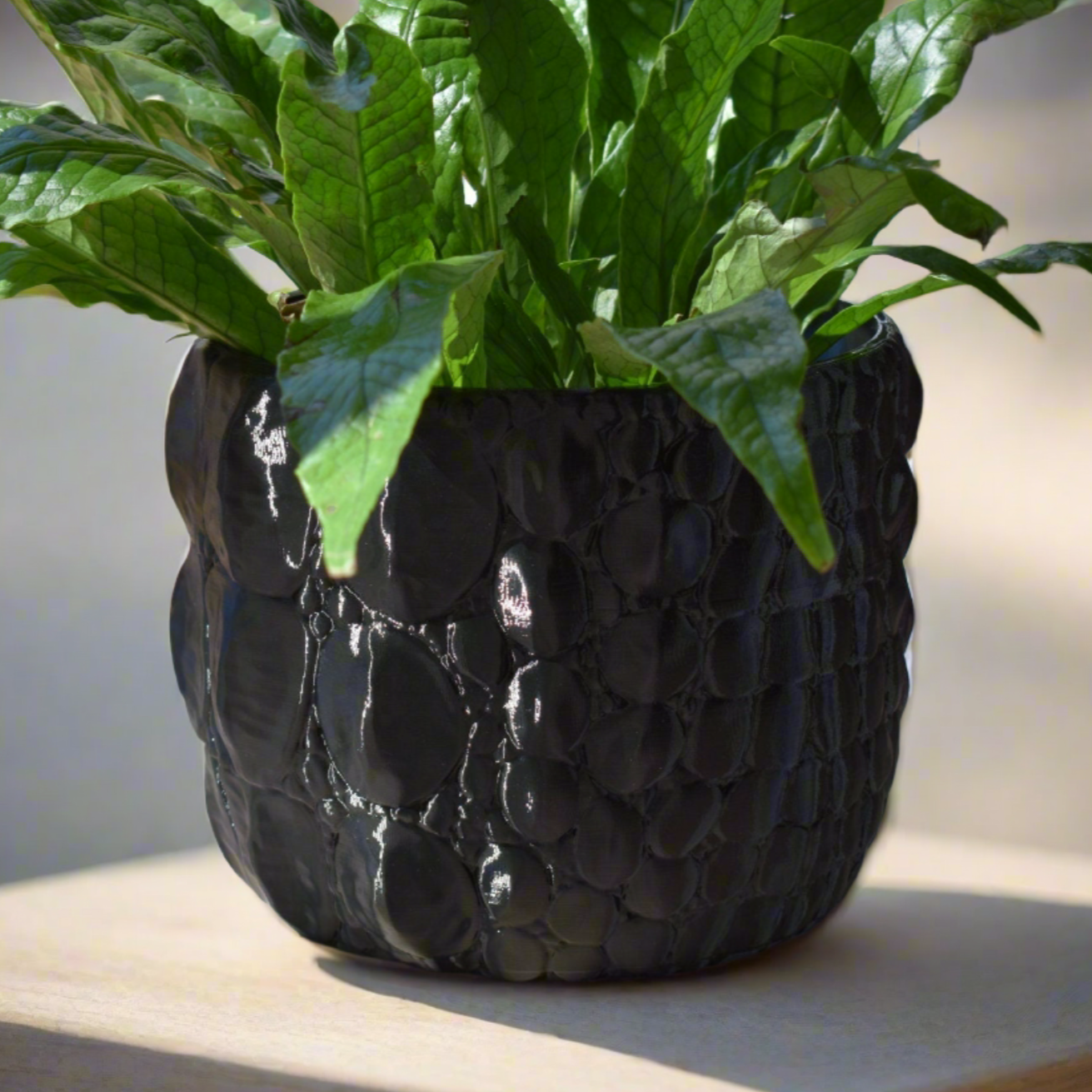 8 inch pot planter Large Alligator Planter Decor, 8-inch Pot, Multiple Color Options, Ind