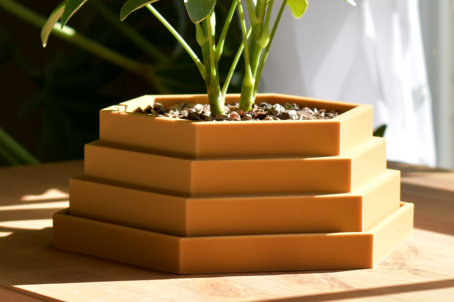 Medium Hexagon Planter with Tray