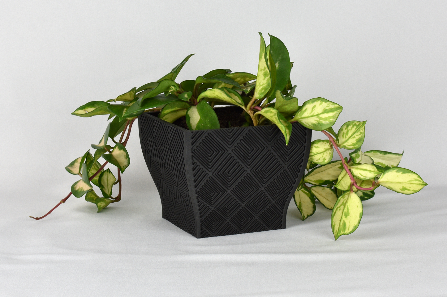 6-inch Square Planter, Geometric Pattern #3, Drainage, Optional Saucer, Outdoor Safe Flower Pot, 30+ Colors