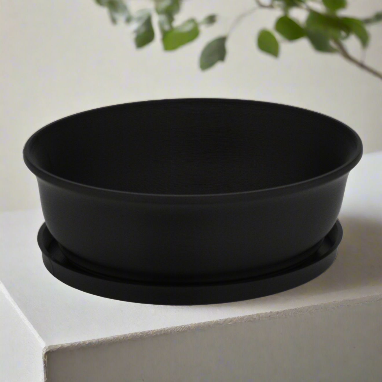 6.5-inch Oval Bonsai Pot