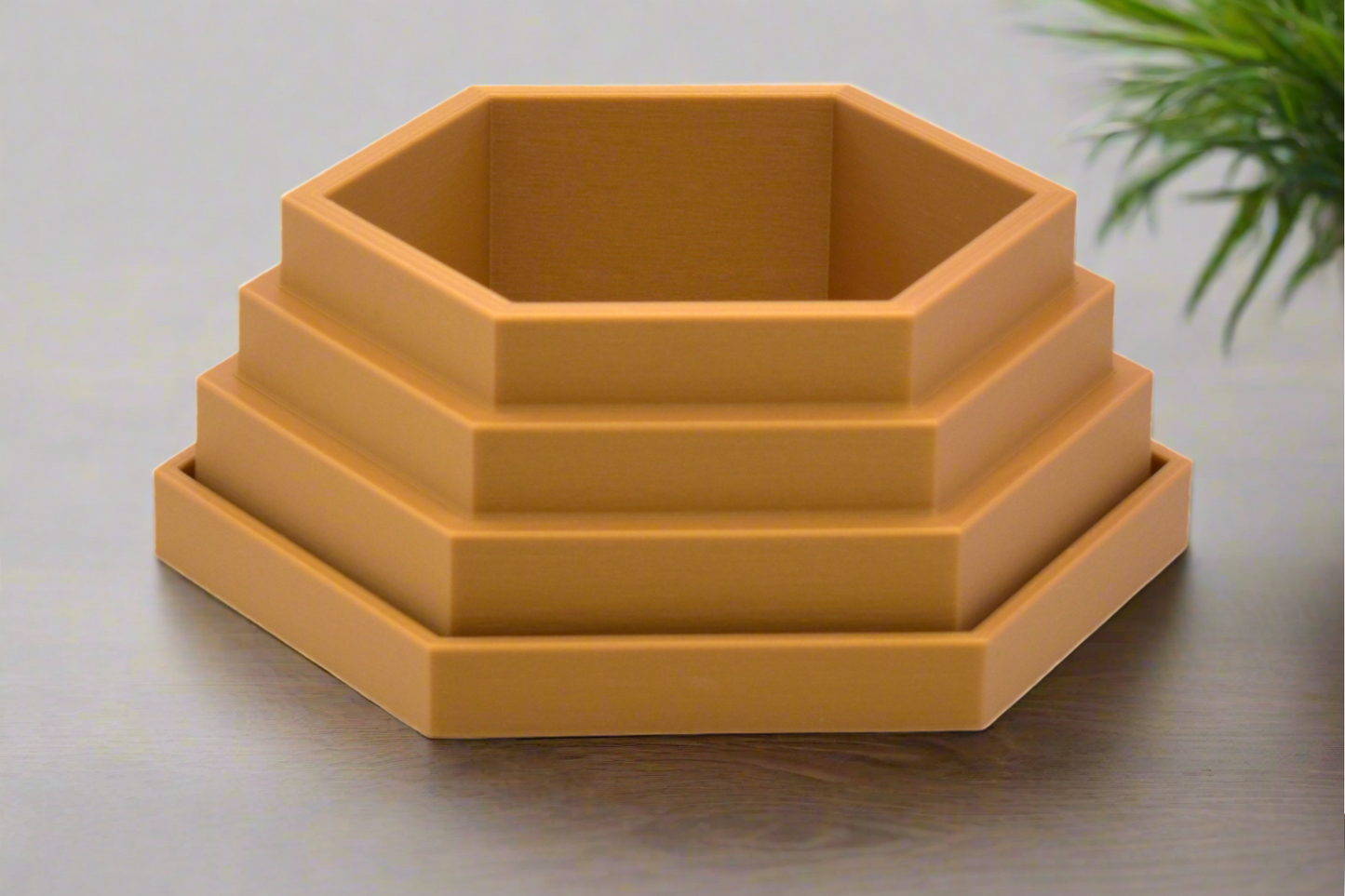 Medium Hexagon Planter with Tray