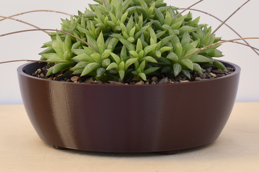 8-inch Round Shallow Succulent Planter with Drainage, Optional Drip Tray, Outdoor Safe, 30+ colors