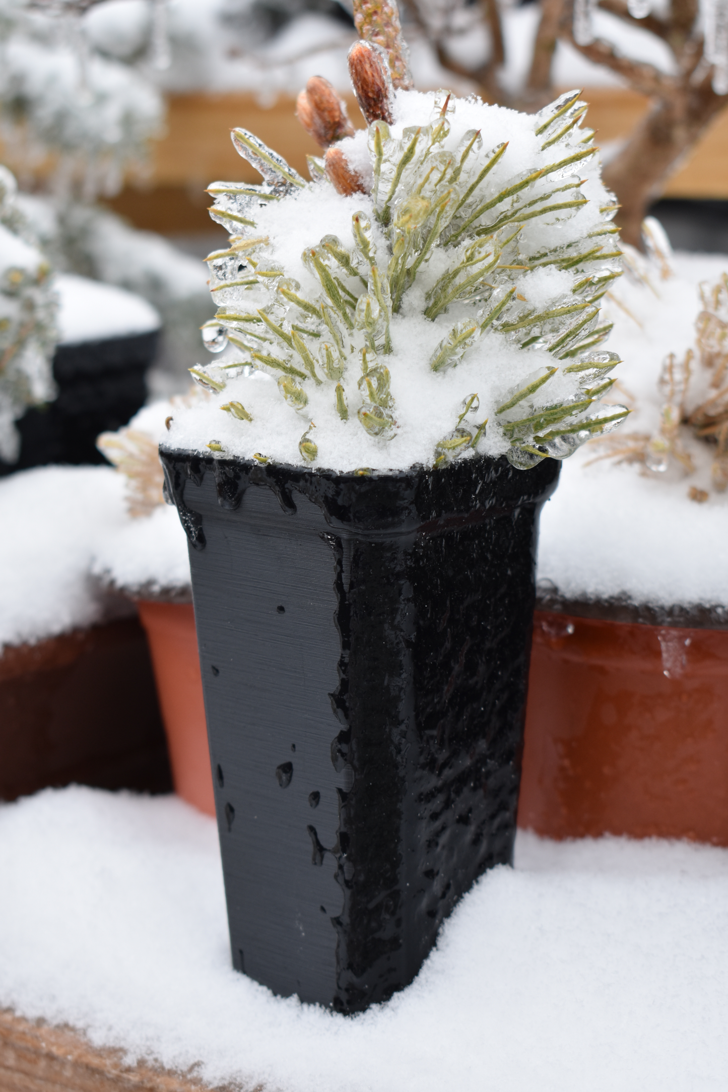 Small-&-Tall Plant Pots with Optional Trays, Outdoor Safe
