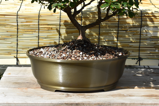 This classic oval bonsai planter is available in over 30 modern colors, including metallic. The extra deep profile is perfect for fast water movers, larger trees, bonsai forests, or even succulent and cactus arrangements. Designed and made-to-order exclusively by GLU3DPrints.com. Dimensions - 12" long x 10" wide x 4" deep. 