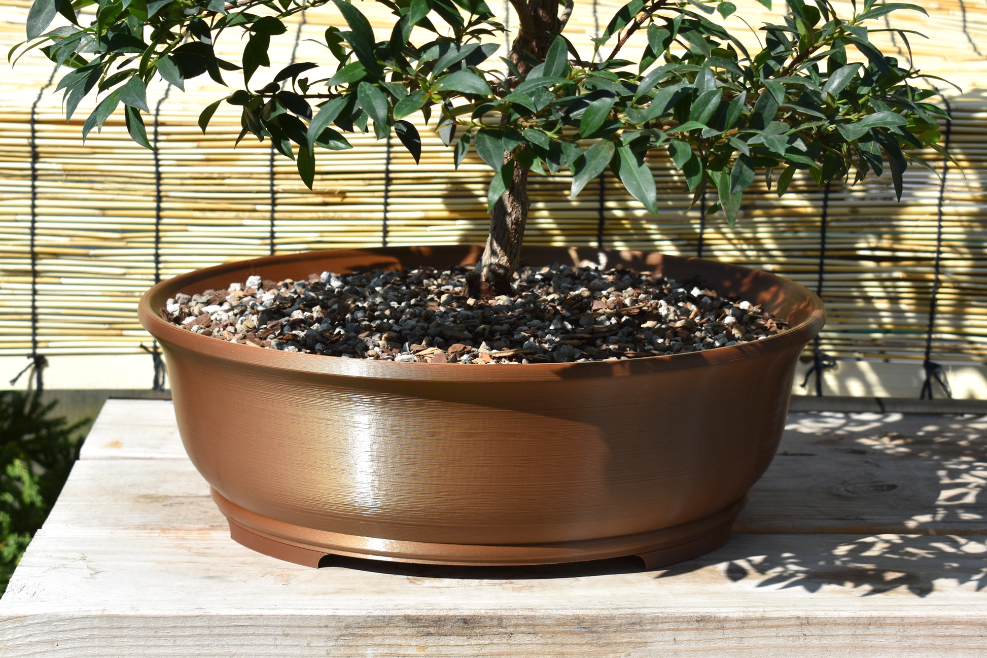 Our largest bonsai planter! A GLU3D Prints re-design of the classic oval bonsai planter available in 30+ modern color options, including metallic. The extra deep profile is perfect for fast water movers, larger trees, tropicals, bonsai forests, or even succulent and cactus arrangements. Dimensions - 15" long x 12.5" wide x 5" deep.