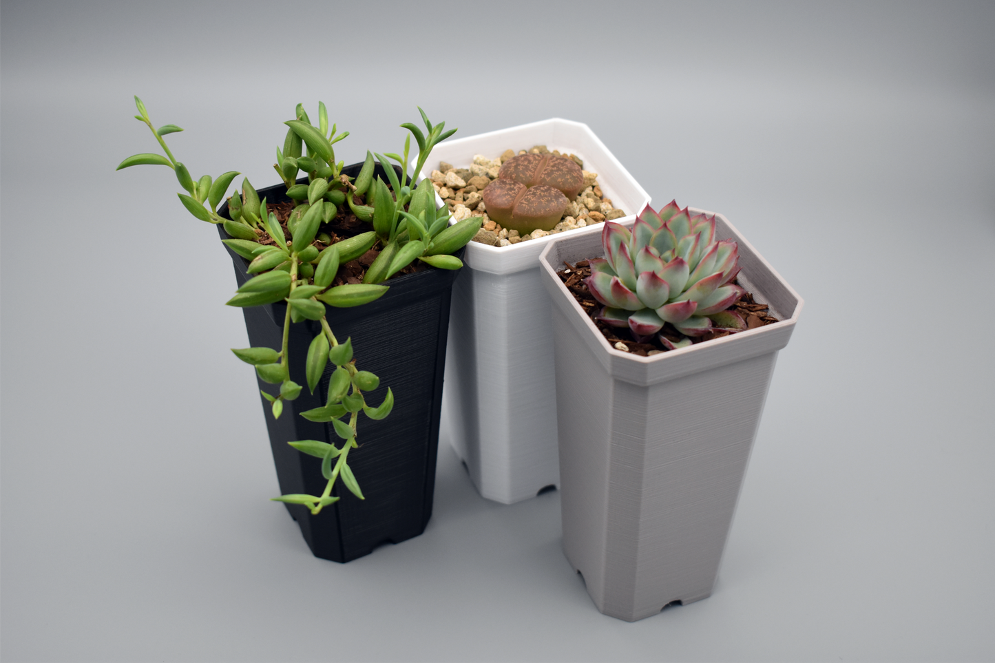 Small-&-Tall Plant Pots