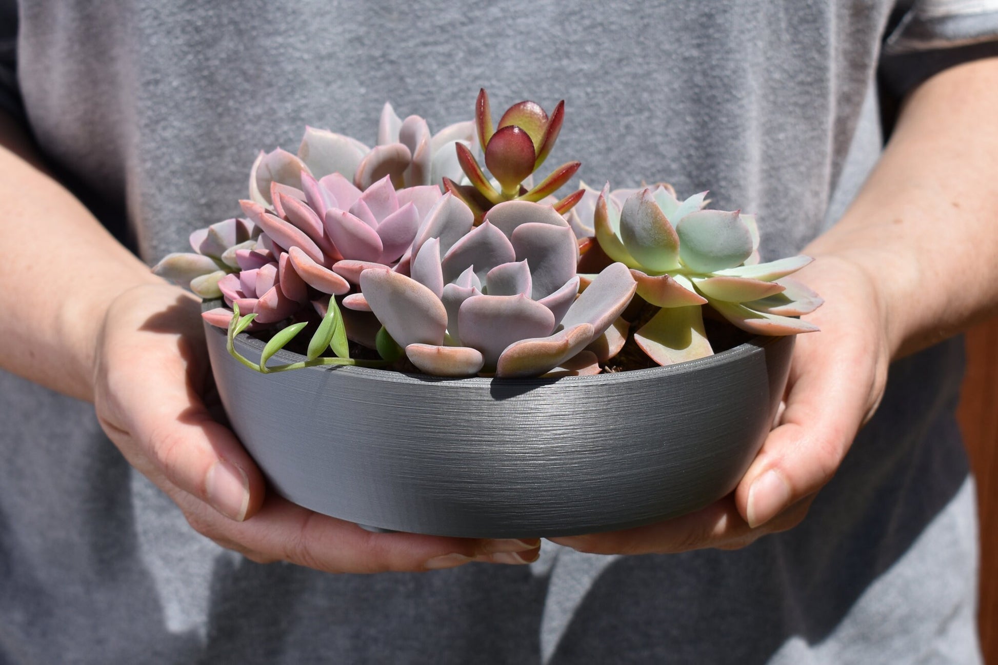 6 inch succulent pots Small Round Shallow Succulent or Bonsai Planter, 6-inch Pot, Multiple – GLU3D Prints