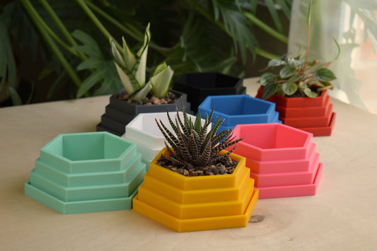 Small Hexagon Planter with Tray and Drainage, 30+ colors, Outdoor safe